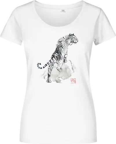 tiger on the rocks