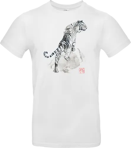 tiger on the rocks