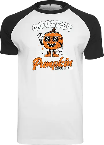 Coolest Pumpkin in the Patch