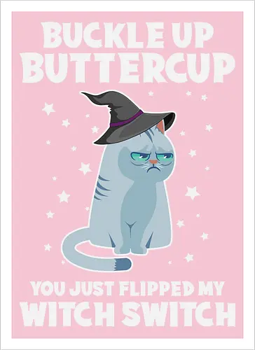 Buckle up buttercup, you just flipped my witch switch