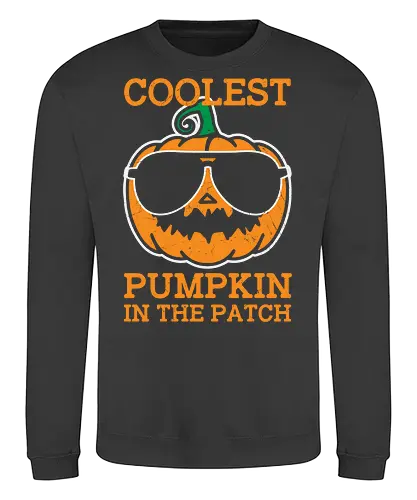 Coolest Pumpkin in the Patch orange - pumpkin, sunglasses, cool, text, cartoon, humor, halloween, illustration, autumn - Sweatshirt