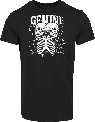 GEMINI