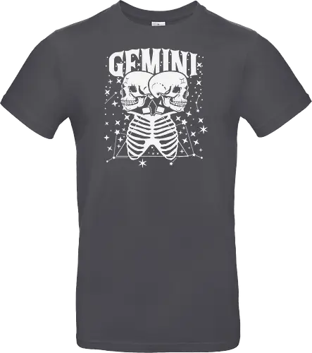 GEMINI