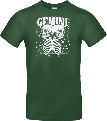 GEMINI