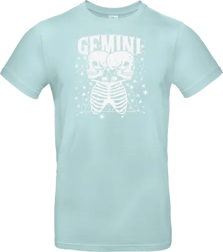 GEMINI