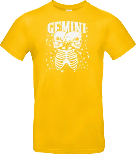 GEMINI