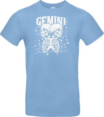 GEMINI