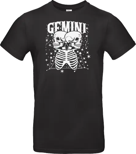 GEMINI