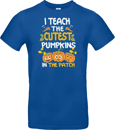 I teach the cutest pumpkins in the patch