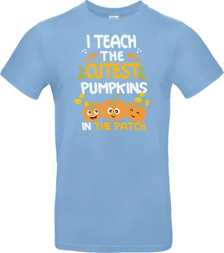 I teach the cutest pumpkins in the patch