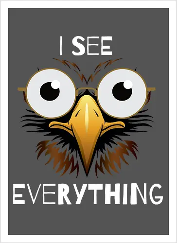 See Everything