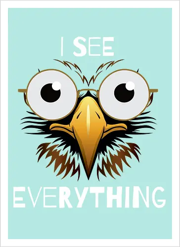 See Everything