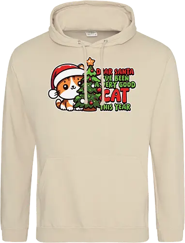 Dear Santa, I've been a very good cat this year.