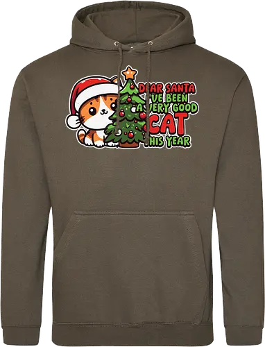 Dear Santa, I've been a very good cat this year.