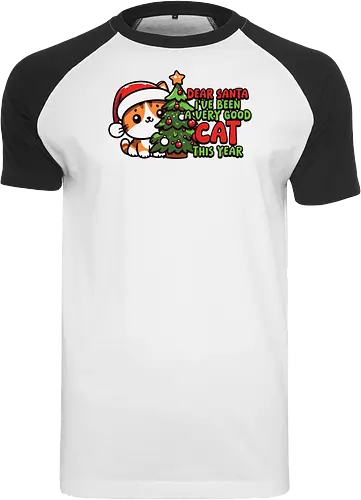 Dear Santa, I've been a very good cat this year.