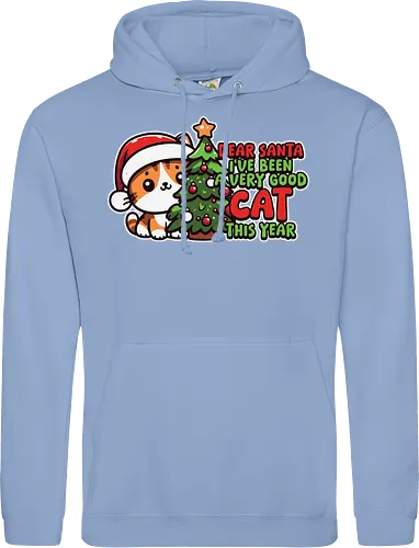 Dear Santa, I've been a very good cat this year.