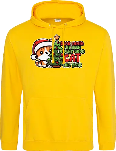 Dear Santa, I've been a very good cat this year.