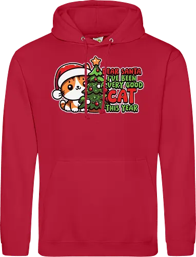 Dear Santa, I've been a very good cat this year.