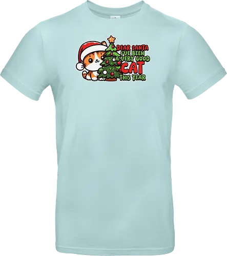Dear Santa, I've been a very good cat this year.