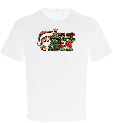 Dear Santa, I've been a very good cat this year.
