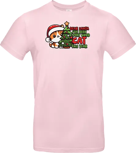 Dear Santa, I've been a very good cat this year.