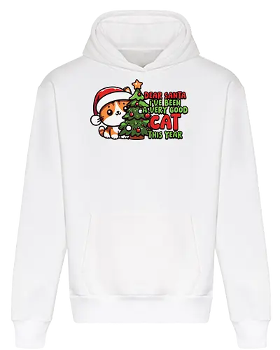 Dear Santa, I've been a very good cat this year.