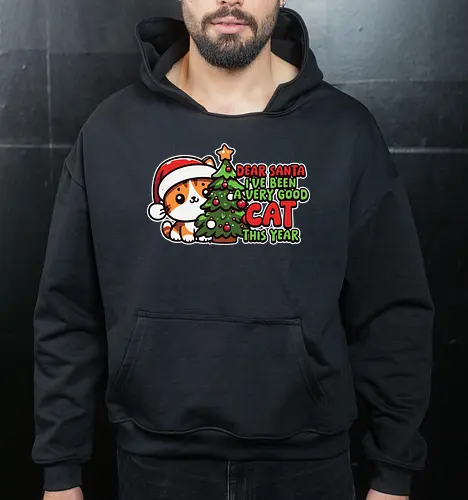 Dear Santa, I've been a very good cat this year.