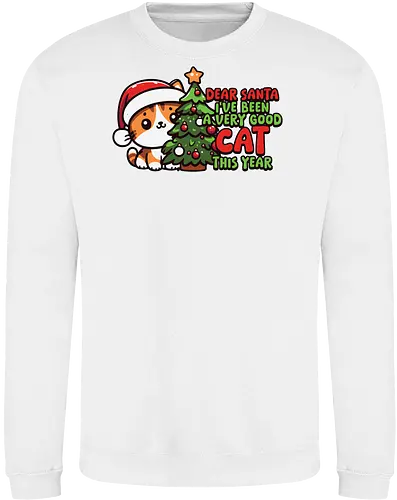 Dear Santa, I've been a very good cat this year.