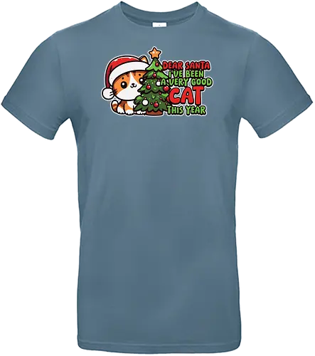 Dear Santa, I've been a very good cat this year.