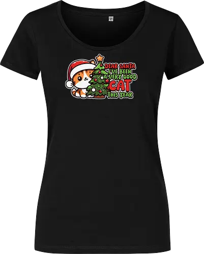 Dear Santa, I've been a very good cat this year.