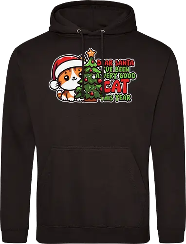 Dear Santa, I've been a very good cat this year.