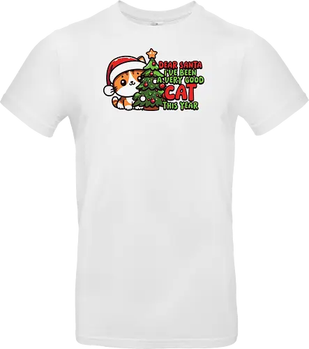 Dear Santa, I've been a very good cat this year.