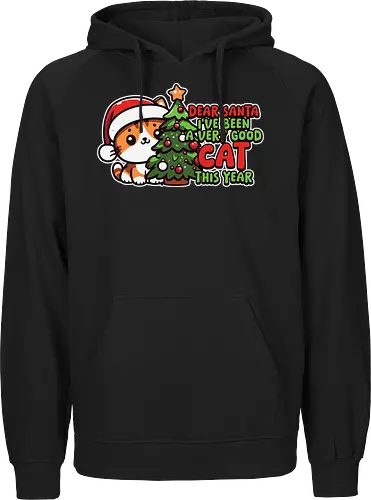 Dear Santa, I've been a very good cat this year.
