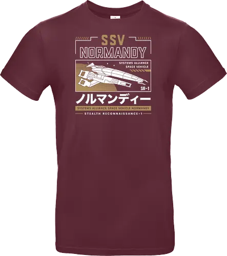 Ssv Normandy Aesthetic