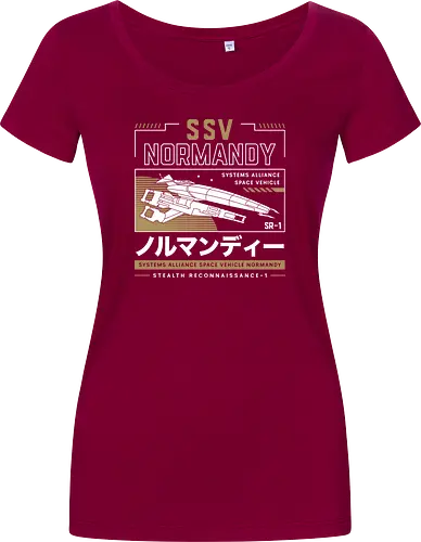 Ssv Normandy Aesthetic