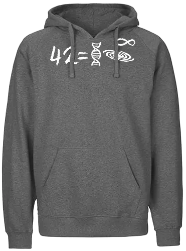 42 equation - equation, hitchhikers guide to the galaxy, galaxy, dont panic, marvin, science, mathematics - Fairtrade Hoodie