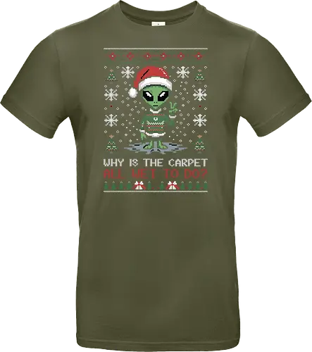 Why is the carpet all wet?