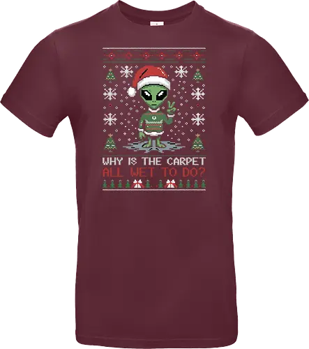 Why is the carpet all wet?