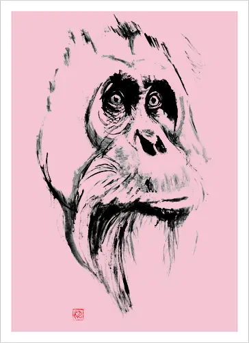 orangutan
