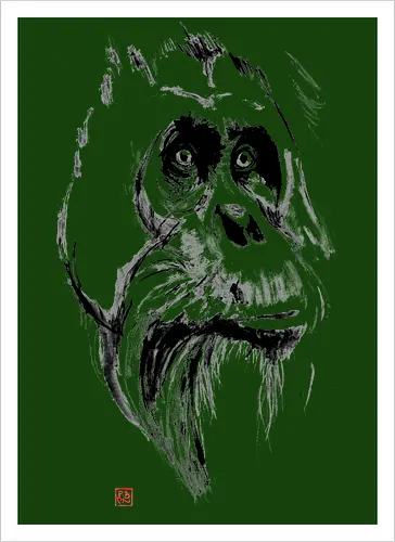 orangutan