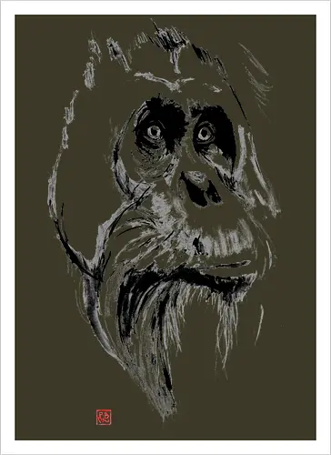 orangutan