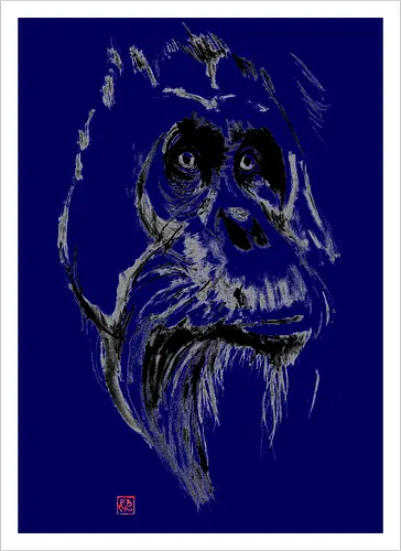 orangutan