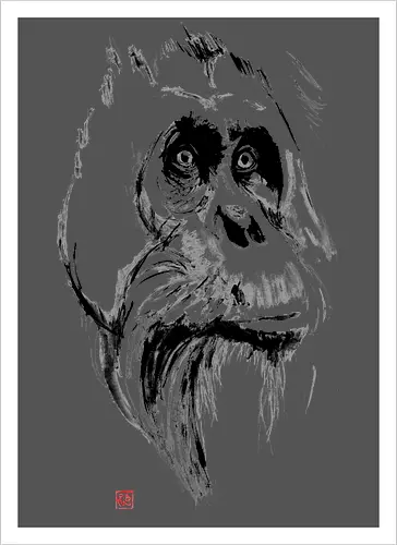 orangutan