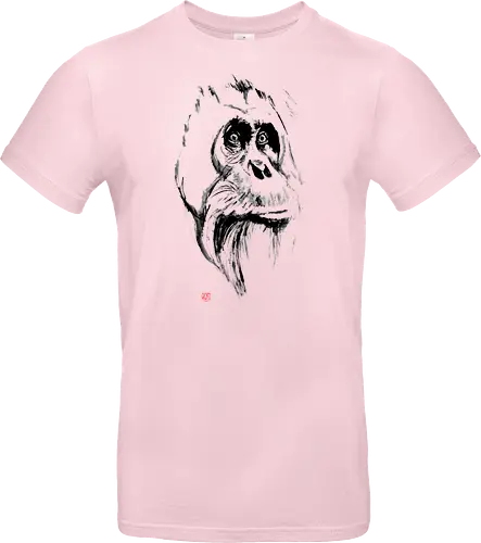 orangutan