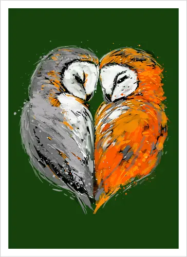 Owls in love
