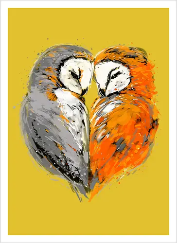 Owls in love