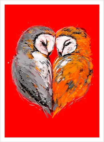 Owls in love
