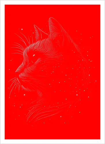 Space cat