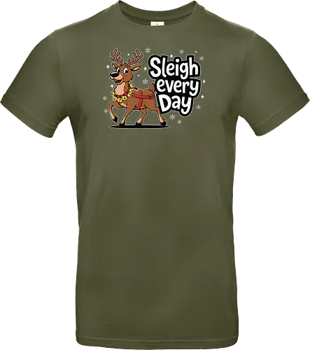 Sleigh every day