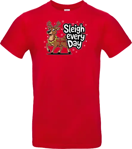 Sleigh every day
